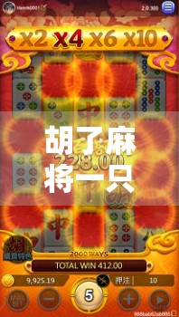 胡了麻将一只小猫，一场意外的猫生奇遇